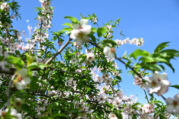 Nature photography, landscape, street photography, animal photography, birds, buildings, ocean waves, beaches, sunsets