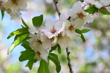 Nature photography, landscape, street photography, animal photography, birds, buildings, ocean waves, beaches, sunsets