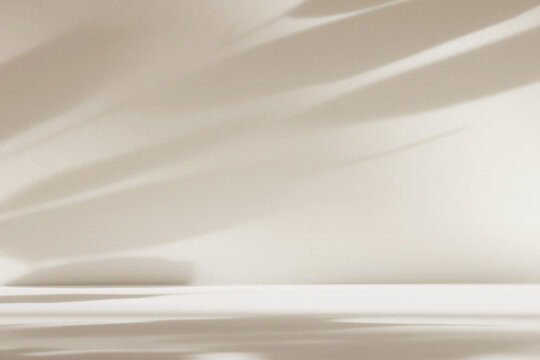 Abstract white color studio background for product presentation. Empty room with shadows of window and flowers and plant leaves . 3d grey room with copy space. Summer concept. Blurred backdrop.