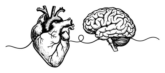 heart and brain connection emotion vs logic sketch