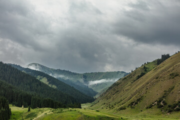 mountain landscape in summer