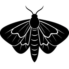 Moth Silhouette Vector Art