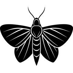 Moth Silhouette Vector Art