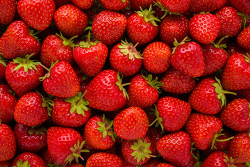 Red bright strawberries background. Fresh berries. Closeup. Top down view.