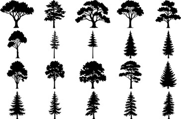 Tree Silhouette Collection | Vector Graphics for Forest Illustrations, Icon Sets and Nature Designs