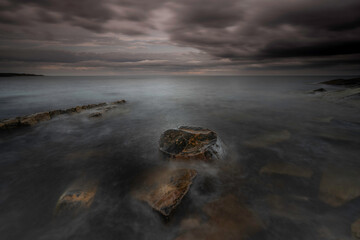 The coastline of Crail, Fife, Scotland with petrified tree trunks in the water.