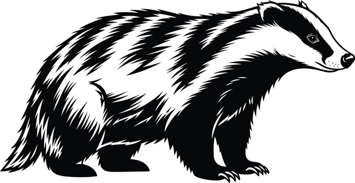 A black and white illustration of a badger standing in profile view