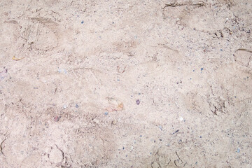 Sand with prints and natural debris, sand texture, background