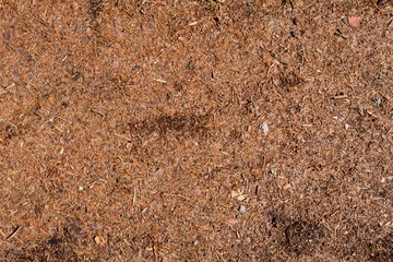 The surface is covered with coniferous needles and natural material, texture, background