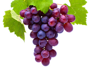 Fototapeta premium Lush Red and Purple Grapes with Green Leaves Isolated on a Transparent Background image