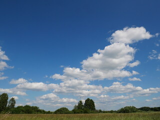fluffy white clouds in the sky