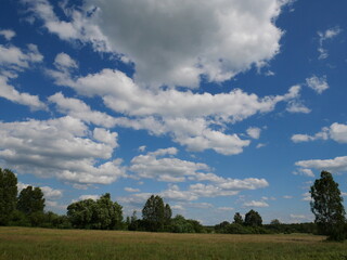 Naklejka premium white clouds in the sky