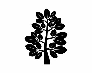 creative Silhouette simple Jade Plant (Crassula ovata) Vector Illustration 