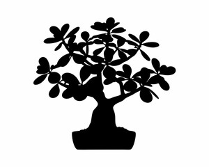 creative Silhouette simple Jade Plant (Crassula ovata) Vector Illustration 