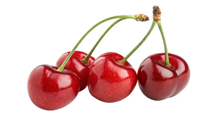 Four ripe red cherries with green stems isolated on transparent background