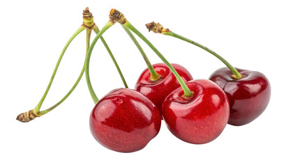 Four ripe red cherries with stems isolated on transparent background