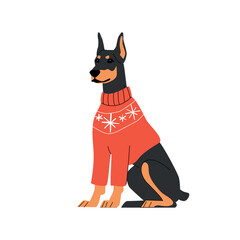 Elegant Doberman wearing a red holiday sweater with snowflake pattern. Flat cartoon style on white background. Perfect for Christmas cards, winter pet designs, and festive decor. Vector illustration