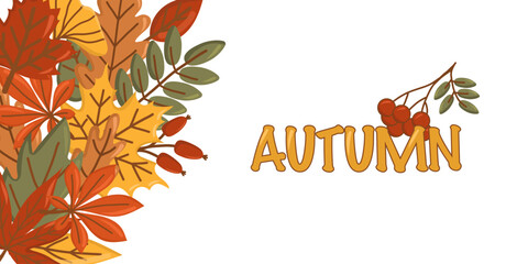 Autumn banner with colorful fall leaves in the corner and Autumn lettering on white space. Seasonal vector background for posters, invitations, web, sales or Thanksgiving design.