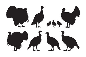 Collection of turkey and poult silhouettes in various poses silhouette vector.