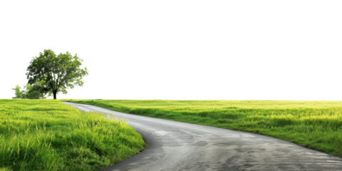 curvy street in countryside green grass field with tree isolated on white or transparent png