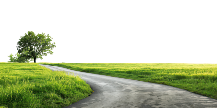curvy street in countryside green grass field with tree isolated on white or transparent png