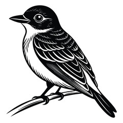 Black and white illustration of a small bird perched on a branch vector