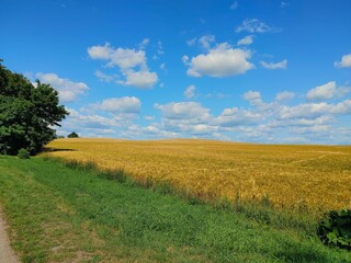 field and sky