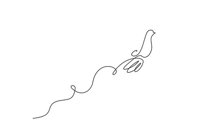 Animated self drawing of continuous line flying pigeon or dove. Bird symbol of peace and freedom in simple linear style. Full length one line animation. 4K