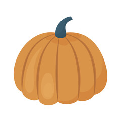 cartoon pumpkin illustration