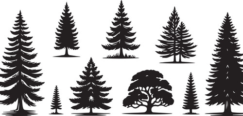 vector silhouettes of pine trees