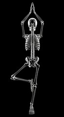 Transparent Glass Skeleton in Tree Pose on Black Background &ndash; Anatomical Figurine in Yoga Balancing Position for Education, Wellness Editorials, Collectibles and Conceptual Stock 