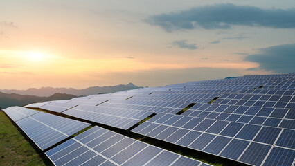 Vast Solar Panel Array at Sunset