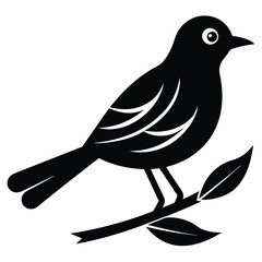 Black bird perched on a branch with leaves nature