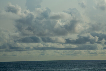 奄美大島の夏。