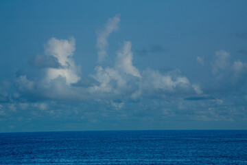 奄美大島の夏。