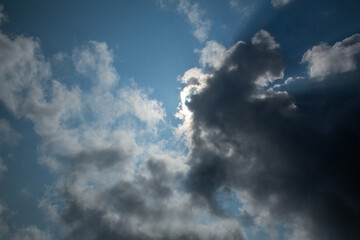 Obraz premium 奄美大島の夏。