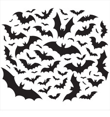 Spooky Halloween Bats Illustration A Black and White Design of Bats
