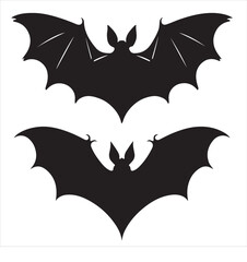 Silhouette of Two Bats Halloween, Night, Dark, Flying Mammals