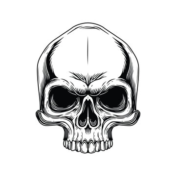 Vector illustration of a human skull in vintage style. Perfect for t-shirt prints, posters, tattoos, gothic designs or Halloween themes.