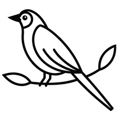 Small bird perched on a branch with leaves black and white