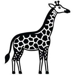 Obraz premium Stylized giraffe with black and white pattern animal wildlife