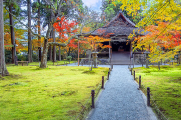 Sanzen-in temple  with a colorful autumn garden in Ohara, northern Kyoto
