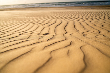 Close-up photograph of natural sea sand patterns on the beach in Rishon LeZion, Israel. The image...