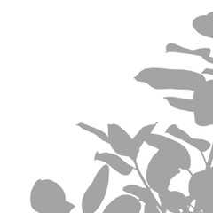 vector illustration of a tree leaf