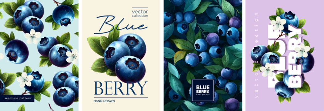 Hand drawn set of designs and patterns. Vectorized gouache illustrations. Illustrations of blueberry with flowers and leaves for poster, prints, menu, card or textile