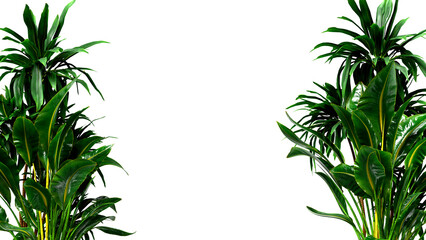 Greenery plant frame border realistic 3d render