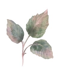 Green Leaves Branches Watercolor Clipart Hand Painted Botanical Elements Isolated On White Background Elegant Natural Illustration For Floral Design Wedding Decor DIY Projects And Scrapbooking
