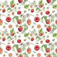 Raspberry garden berries leaves flowers hand drawn in watercolor. Ripe cloudberry dewberry mulberry on thorny spiked branch. Isolated seamless pattern. Home preserves, grocery store, packaging paper