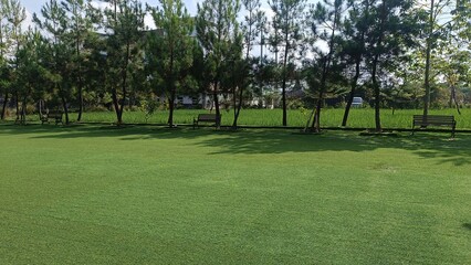Obraz premium Lawn with Trees and Benches in Park