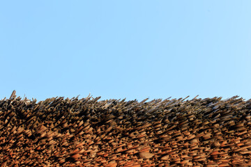 straw roof top and blue sky, reed, for the background web and design purposes